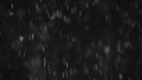 Mvi_002613