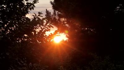 Free Sunrise Stock Video Footage - (3,025 Free Downloads)