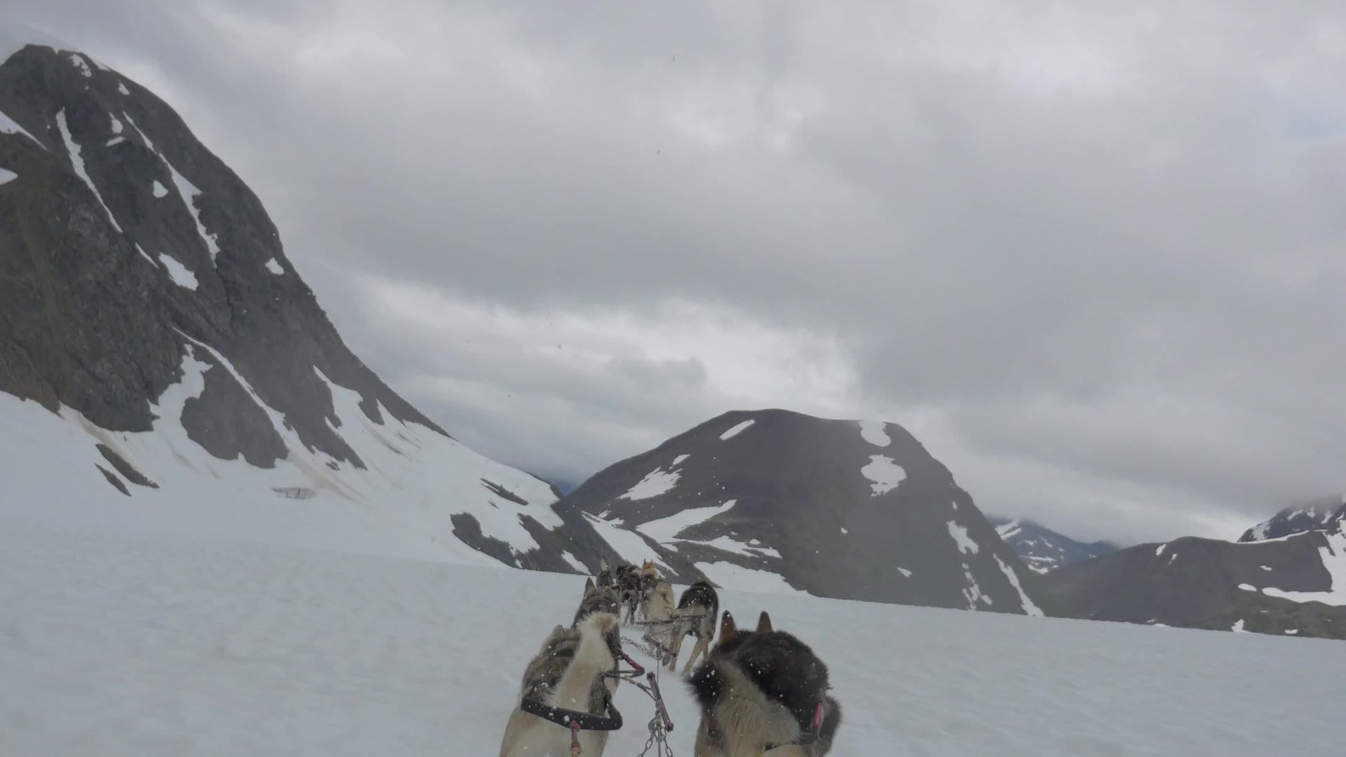 Vídeo de stock libre de 4K de un equipo de perro de trineo tirando de un  trineo en Alaska, image size:1920x1080