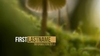 Minimal Green Scenery Clean Lower Third 4K After Effects Template