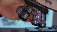 Rotating-a-microscope-lens