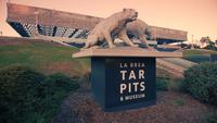 Tracking-shot-of-la-brea-tar-pits-and-museum-entrance-in-4k