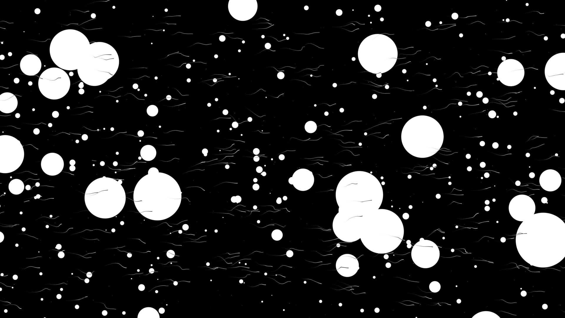 Células en blanco y negro bajo el microscopio - ¡Clips y Vídeos HD de  Gratis en Videezy!, image size:1920x1080