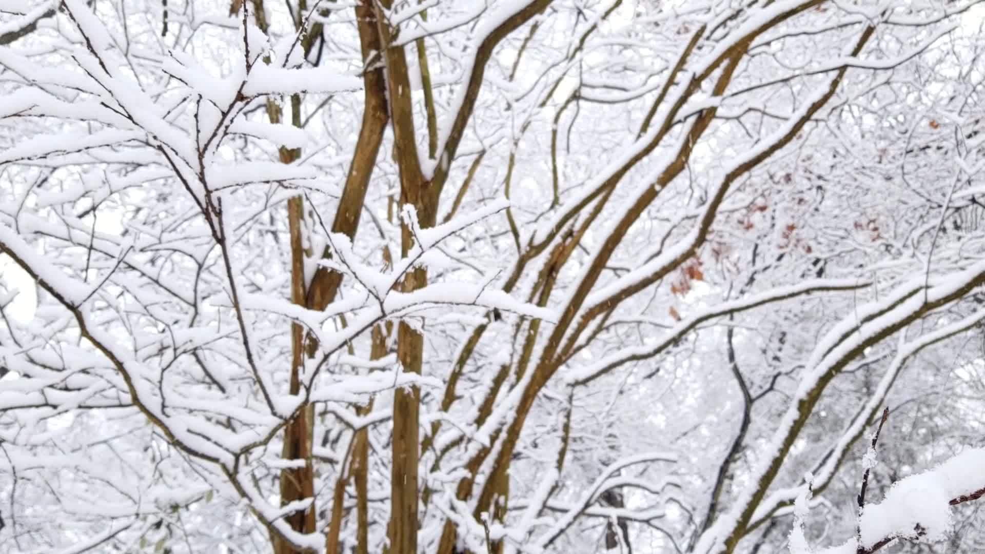 Cartoon Kerstman Op Sneeuw Met Ijsbaan, Kerstman Clipart, Sneeuw Clipart,  Cartoon Clipart Afbeelding PNG Met Transparante Achtergrond Voor Gratis  Download, image size:1920x1080