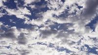 Time-lapse-of-big-group-of-gray-altocumulus-clouds-moving-from-right-to-left-on-blue-sky-in-4k