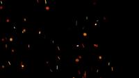 Bright-fire-embers-on-black-background-dancing-in-4k