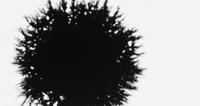 Black-ink-drops-expanding-creating-a-small-circle-shape-with-thin-lines-in-4k