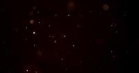 White-little-particles-and-big-blurred-bokeh-particles-moving-raqndomly-on-dark-background-in-4k