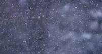 Thousand-of-snow-particles-falling-slowly-with-snowy-forest-in-background-in-4k