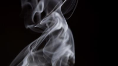 Free Dynamic Stock Video Footage - (3,672 Free Downloads)