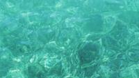Beautiful-little-waves-in-clear-water-with-turquoise-background-in-4k