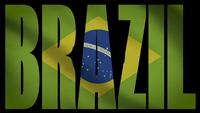 Brazil-brazil