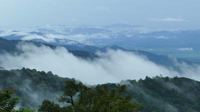 Free Fog Stock Video Footage - (3,579 Free Downloads)