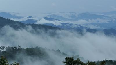 Free Fog Stock Video Footage - (3,579 Free Downloads)
