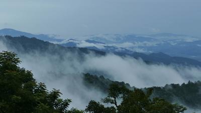 Free Fog Stock Video Footage - (3,579 Free Downloads)