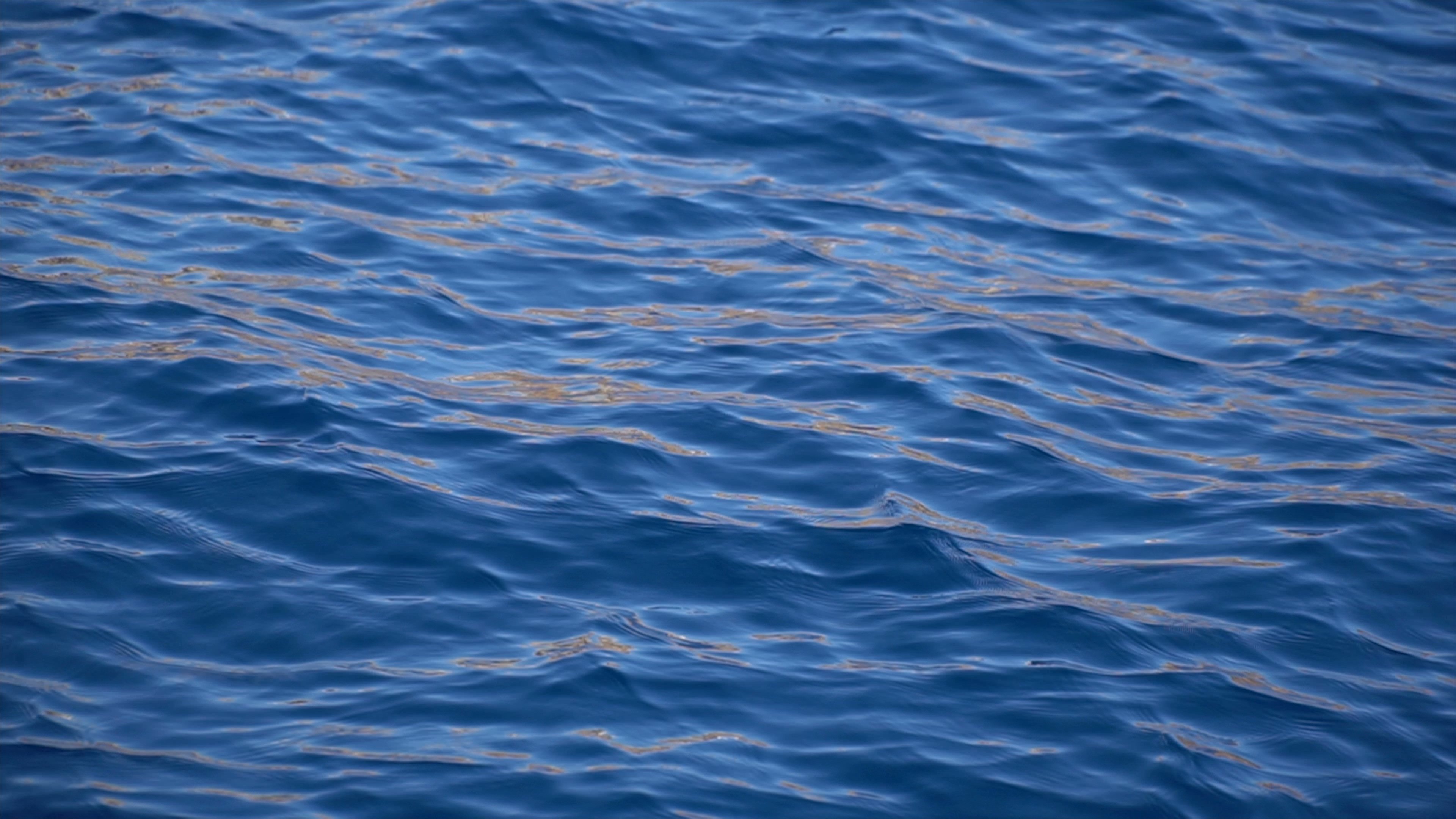 Zuiver blauw water in de Rode Zee met lichtreflecties - Gratis  HD-videomateriaal bij Videezy!, image size:3840x2160