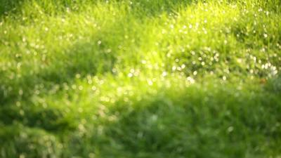 Free Low Resolution Stock Video Footage - (305 Free Downloads)