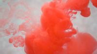 Red ink in water. Creative slow motion. On a white background