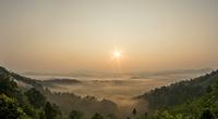 Brouillard sur la forêt dans la vallée