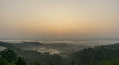 Free Fog Stock Video Footage - (3,579 Free Downloads)