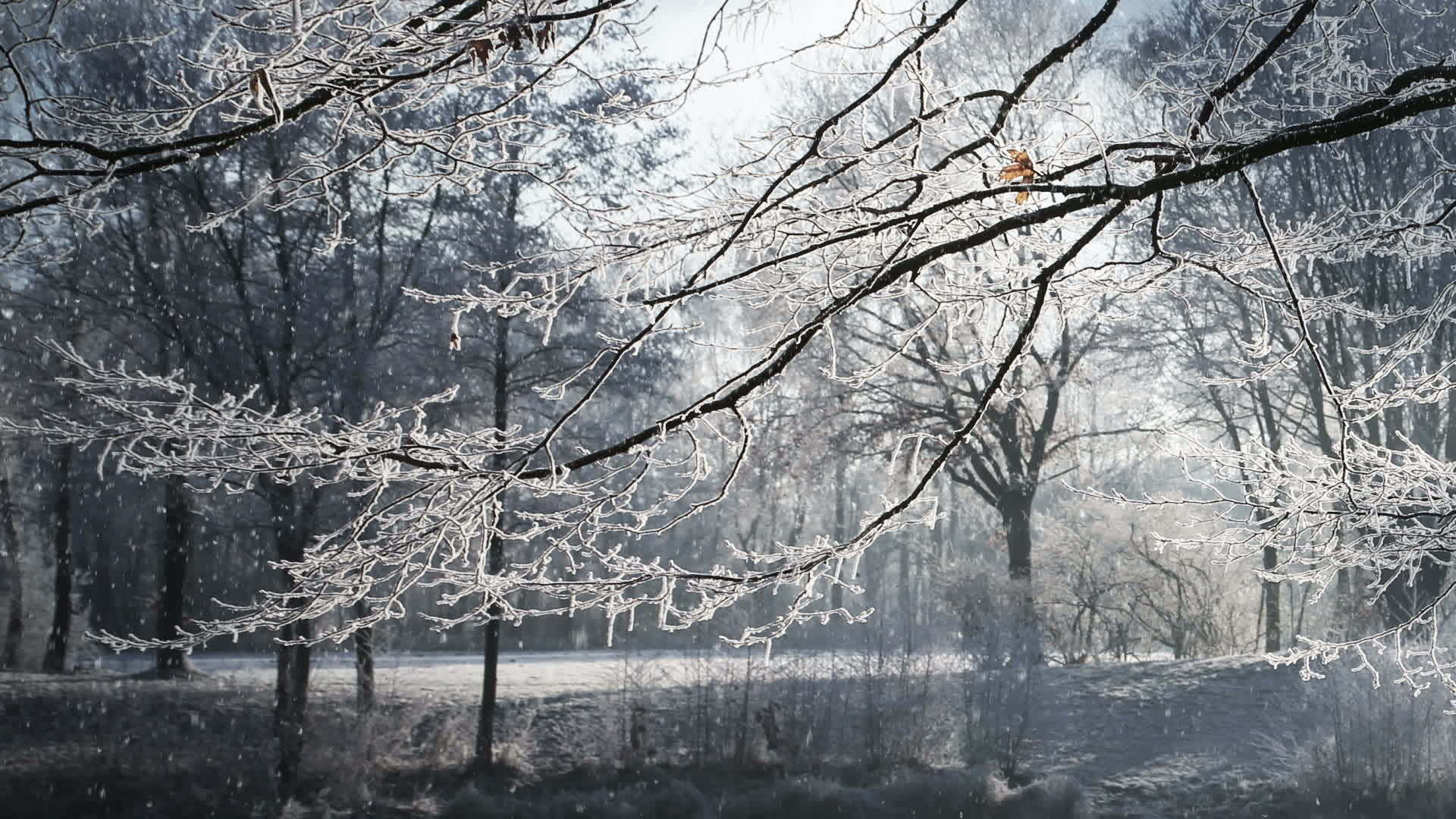 Sneeuw Graffiti Kerst | TikTok, image size:1920x1080