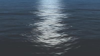 Free Ocean Loop Stock Video Footage - (7,931 Free Downloads)