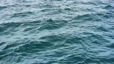 Free Ocean Loop Stock Video Footage - (7,931 Free Downloads)