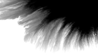 Free Ink Stock Video Footage - (938 Free Downloads)