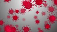 Novel coronavirus background