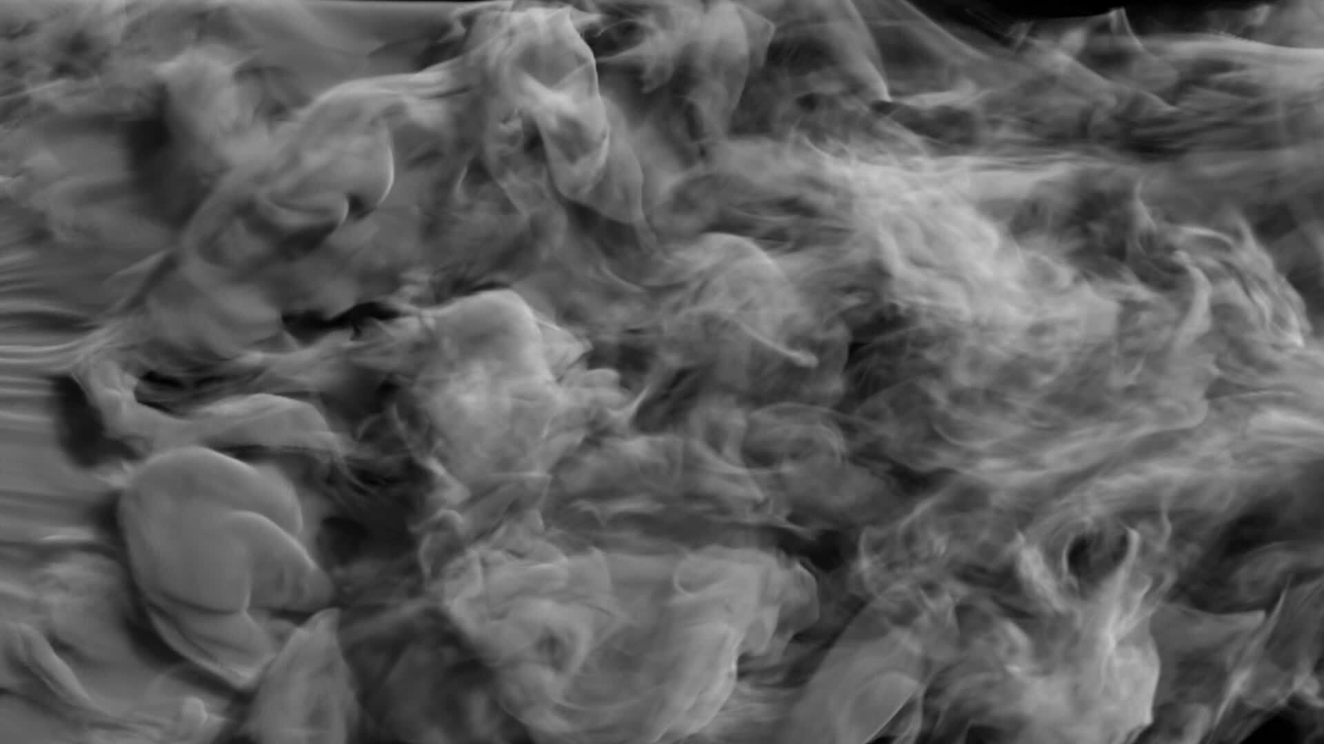 La variété du cannabis de la White Widow | CBDMania Shop France, image size:1920x1080