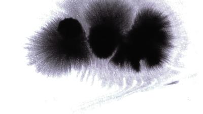 Free Ink Drop Stock Video Footage - (1,657 Free Downloads)