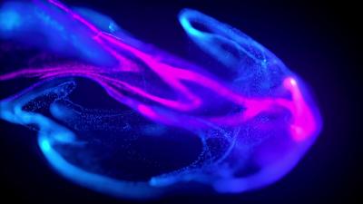 Colorful exploding intro - Free HD Video Clips & Stock Video Footage at ...