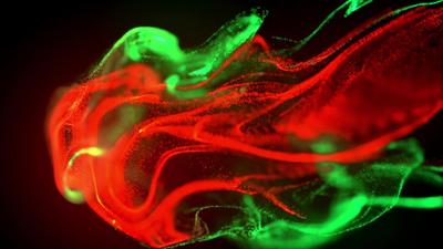 Colorful exploding intro - Free HD Video Clips & Stock Video Footage at ...