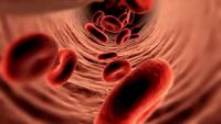 Red-blood-cell