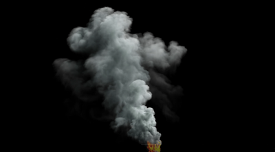 Free Small Stock Video Footage - (774 Free Downloads)