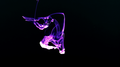 Free Motion Loops Stock Video Footage - (15,546 Free Downloads)