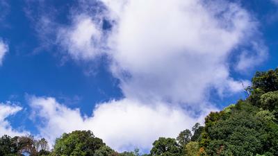Free Log Footage Stock Video Footage - (2,445 Free Downloads)