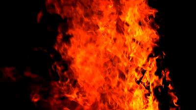 Free Ash Stock Video Footage - (1,310 Free Downloads)