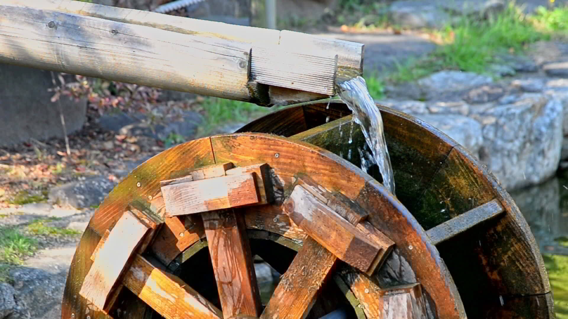 Ornamentales \u0026 Jardinería 68 by Revista deRiego - Issuu, image size:1920x1080