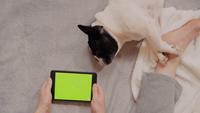 Une personne utilise une tablette à la maison