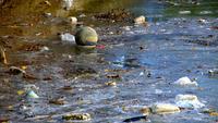 Pollution de l&#39;eau gaspillée
