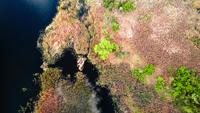 Faune de l&#39;Ukraine, îles sur le Dniepr
