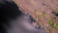 Déplacement sur de petites îles sauvages du fleuve Dniepr.
