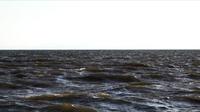 Vagues de la mer et horizon blanc