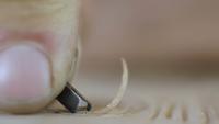 Woodcarver Carves Letters