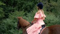 Girl Rides a Brown Horse